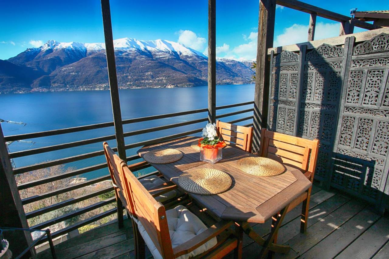 The Cozy Nest - Vakantiehuis